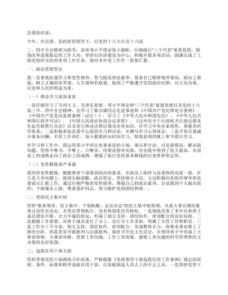 2004年度领导个人总结报告