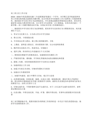 2024---2024年度初三班主任工作计划