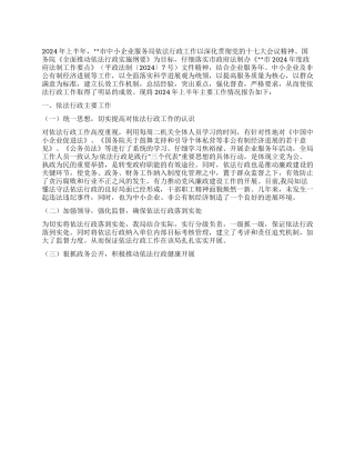 2024上半年中小企业依法行政工作要点总结