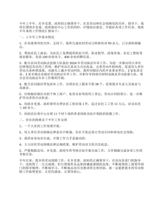 2024上半年劳保所工作要点总结