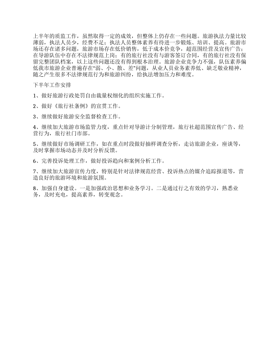 2024上半年旅游质监所工作总结_第2页