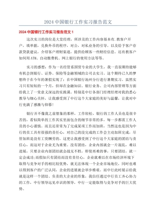 2024中国银行工作实习报告范文