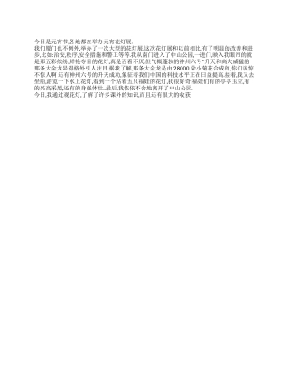 2024中学生元宵看花灯展日记300字