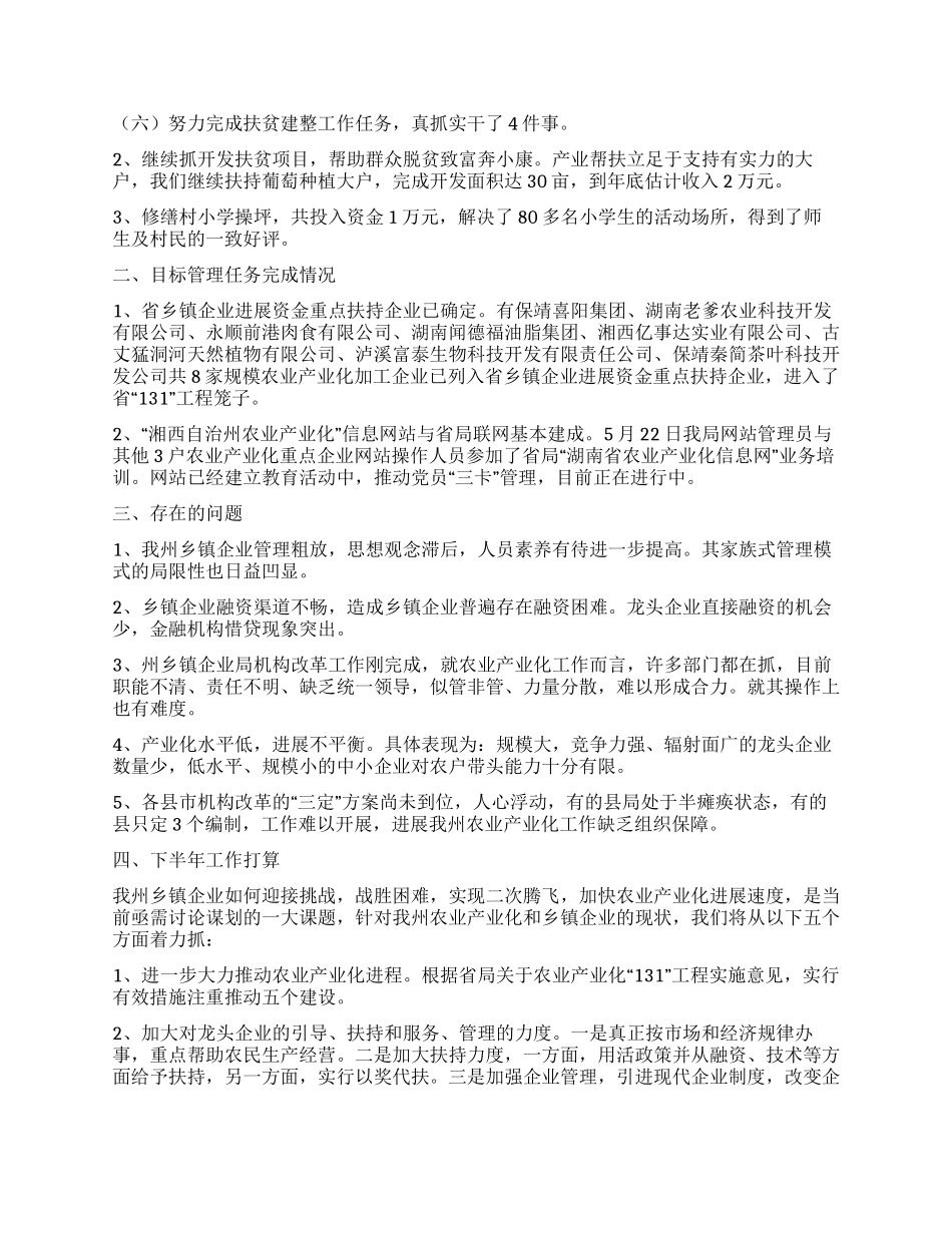 2024乡镇企业工作总结_第2页