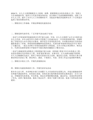 2024乡镇人大工作总结