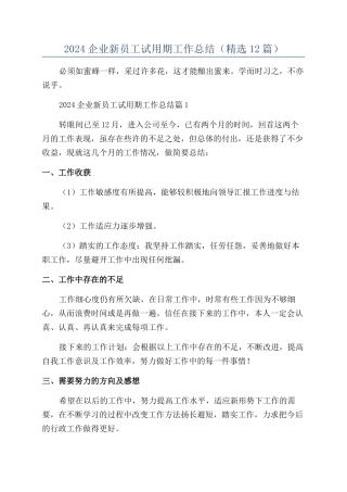 2024企业新员工试用期工作总结