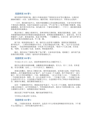 2024元旦作文500字大全5篇