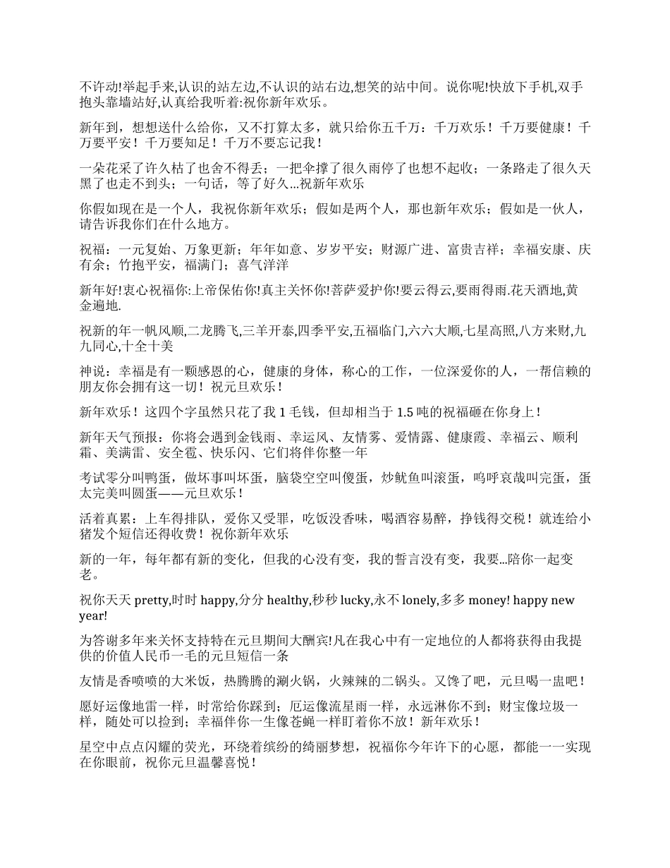 2024元旦短信笑话祝福大全_第2页