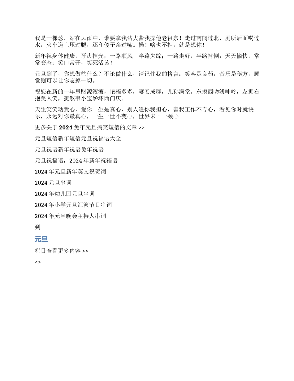 2024兔年元旦搞笑短信_第2页