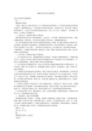 2024党支部书记述职报告