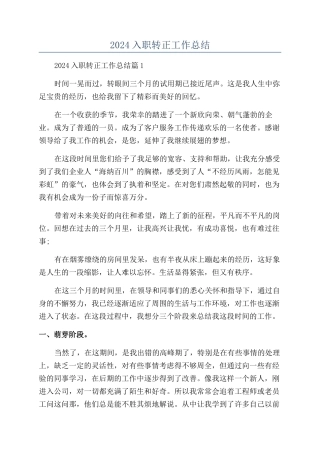 2024入职转正工作总结