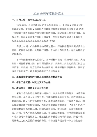 2024公司年度报告范文