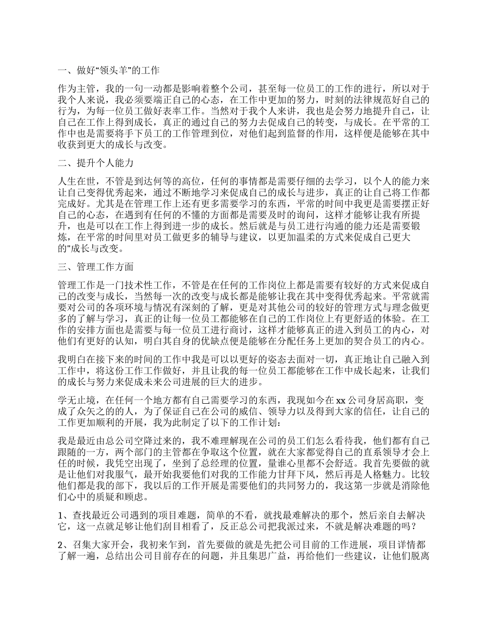 2024公司高管个人工作计划_第1页