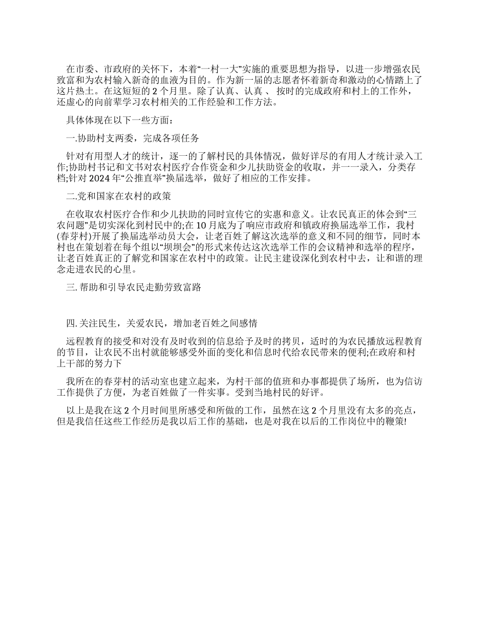 2024农村村委会年终工作总结_第1页