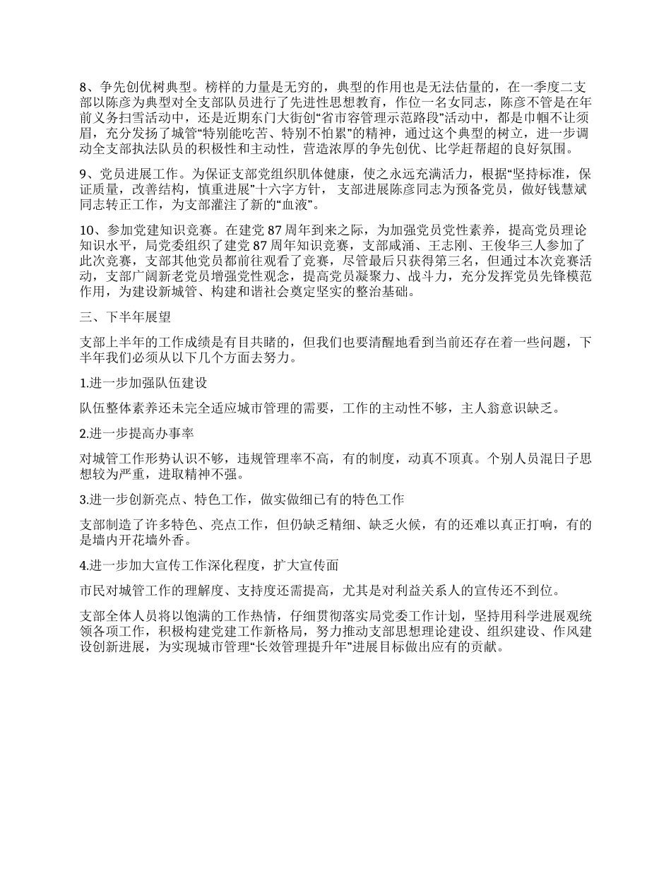 2024前半年城管支部工作总结_第3页