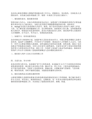 2024医院急诊科护理工作总结范文