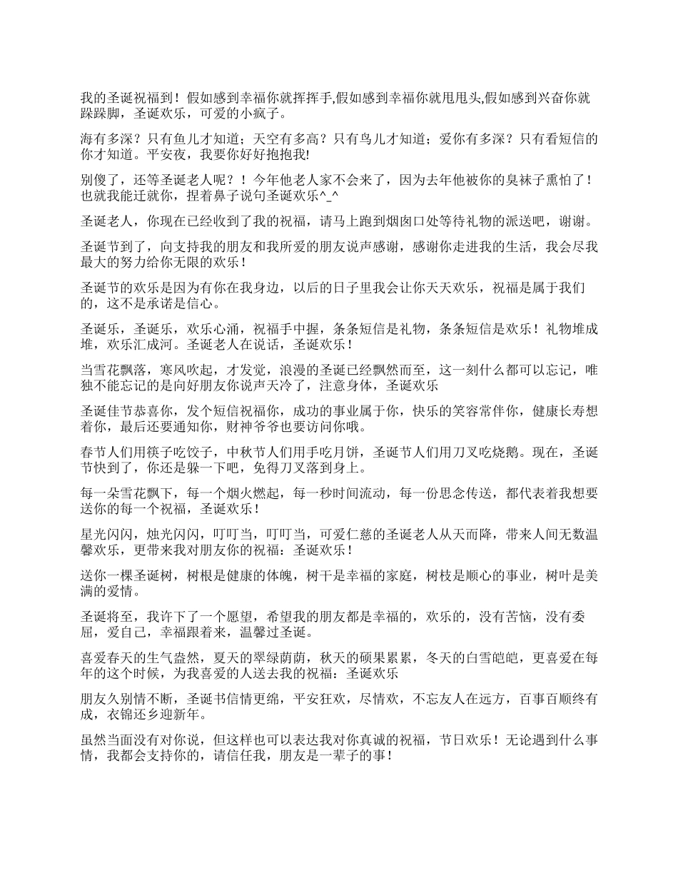 2024圣诞祝福短信精品_第1页