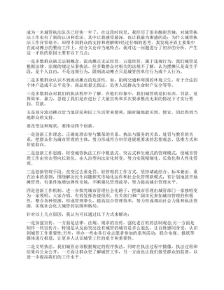 2024城管人员工作心得体会