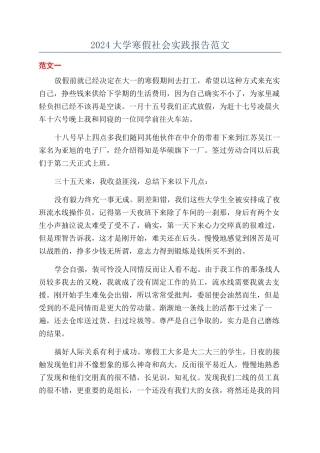 2024大学寒假社会实践报告范文