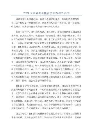2024大学暑期毛概社会实践报告范文
