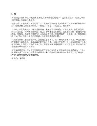 2024大学生暑期三下乡心得体会