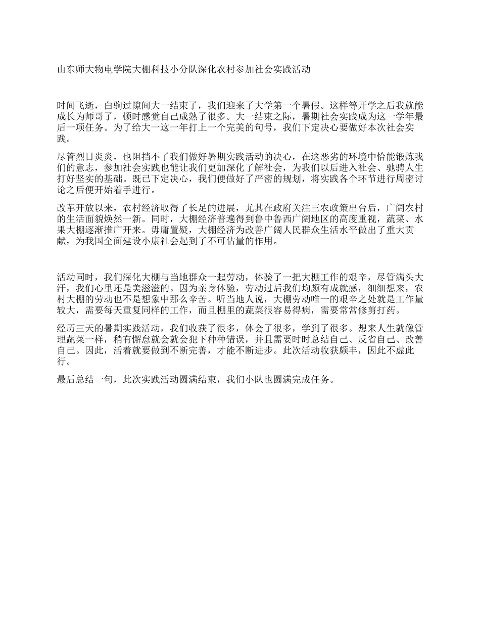2024大学生暑期实践活动报告_第1页