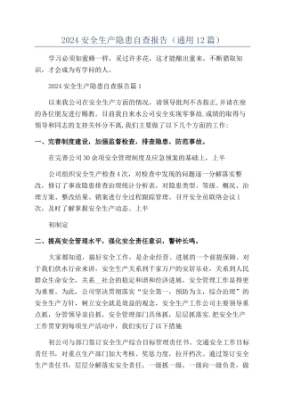 2024安全生产隐患自查报告
