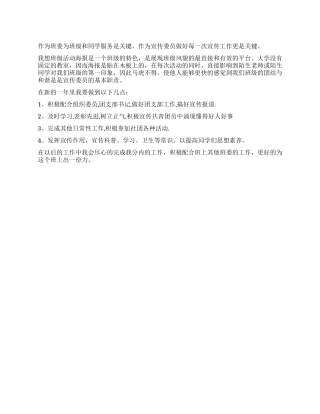 2024宣传委员工作计划