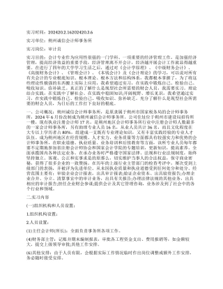 2024审计专业学生实习报告