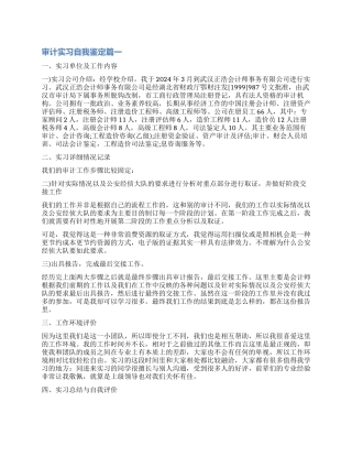 2024审计实习自我鉴定3篇