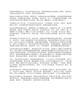 2024寒假实践报告范文