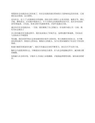 2024寒假社会实践总结