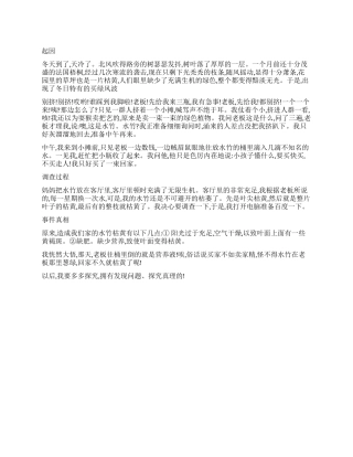 2024小学生写作文调查报告