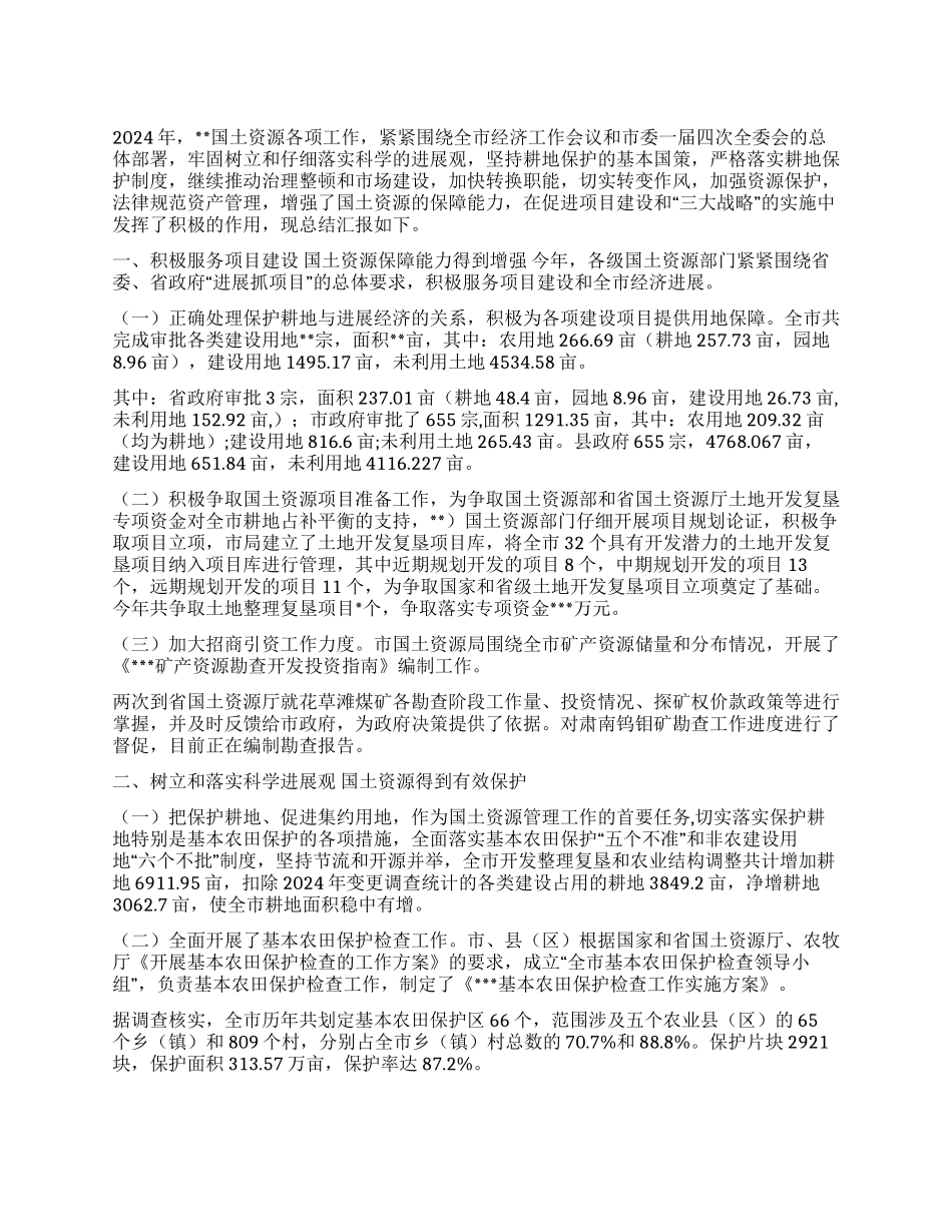2024工作总结(国土资源)_第1页