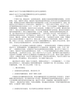 2024年10月下旬交通征费稽查所党支部书记述职报告