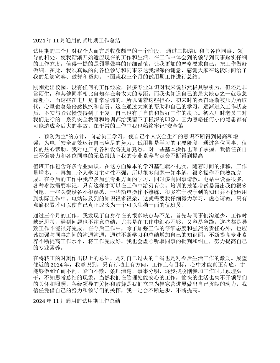 2024年11月通用的试用期工作总结_第1页
