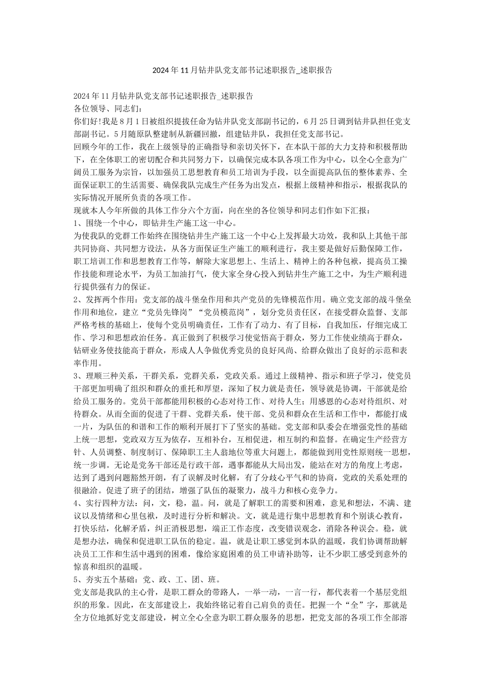 2024年11月钻井队党支部书记述职报告-述职报告_第1页