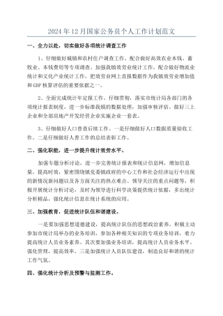 2024年12月国家公务员个人工作计划范文