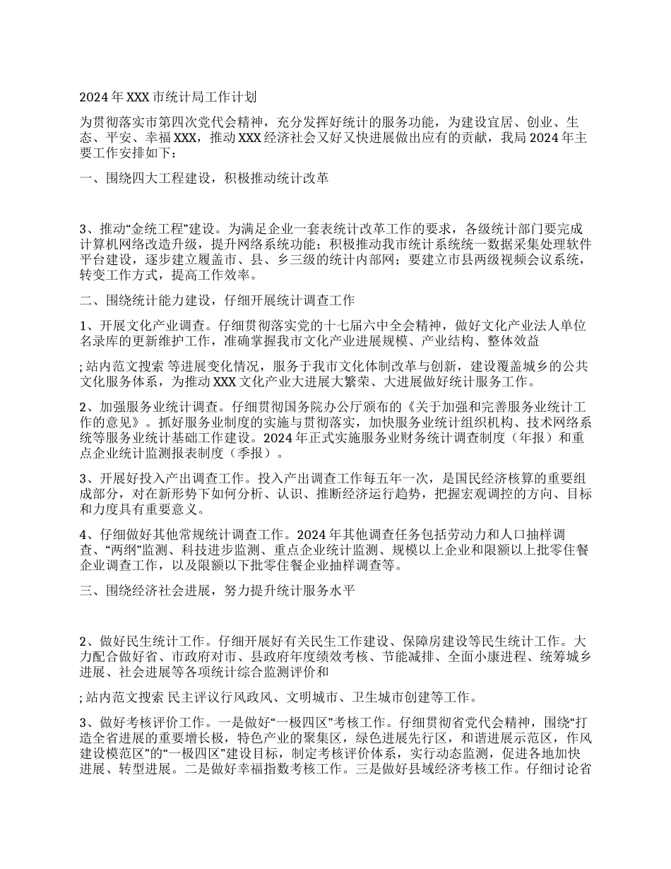 2024年XXX市统计局工作计划_第1页