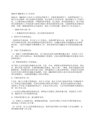 2024年XXX镇人大工作总结