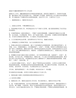 2024年XXX镇财政所半年工作总结