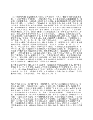 2024年XX镇森林防火工作总结