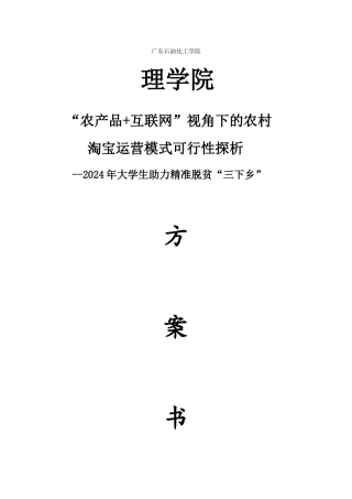 2024年三下乡青春帮扶队方案书