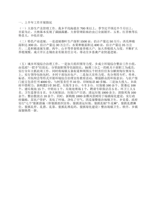 2024年上半年乡政府工作总结