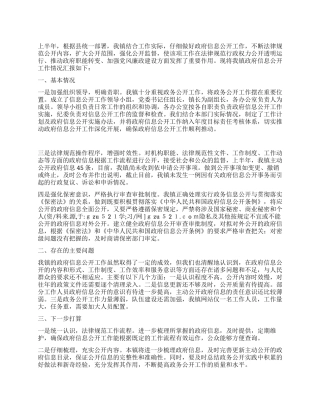 2024年上半年乡镇电子政务和政府信息公开工作总结