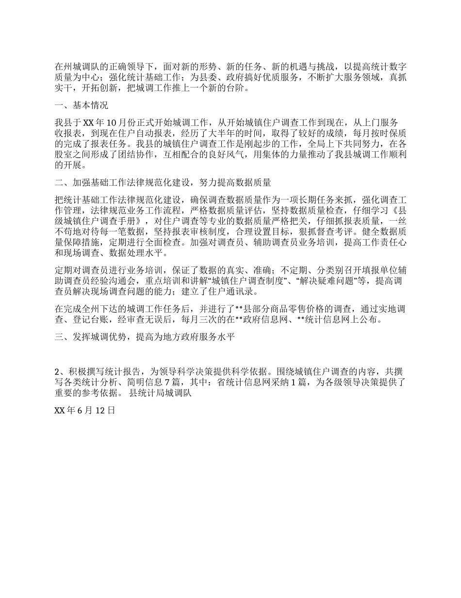 2024年上半年县统计局城调工作总结_第1页
