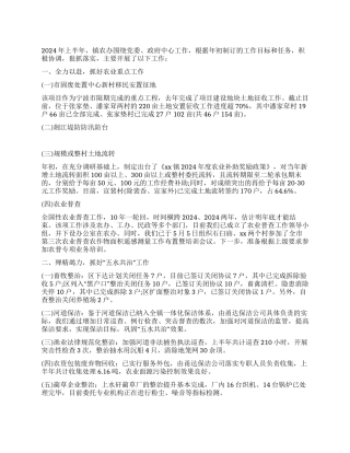 2024年上半年度工作总结