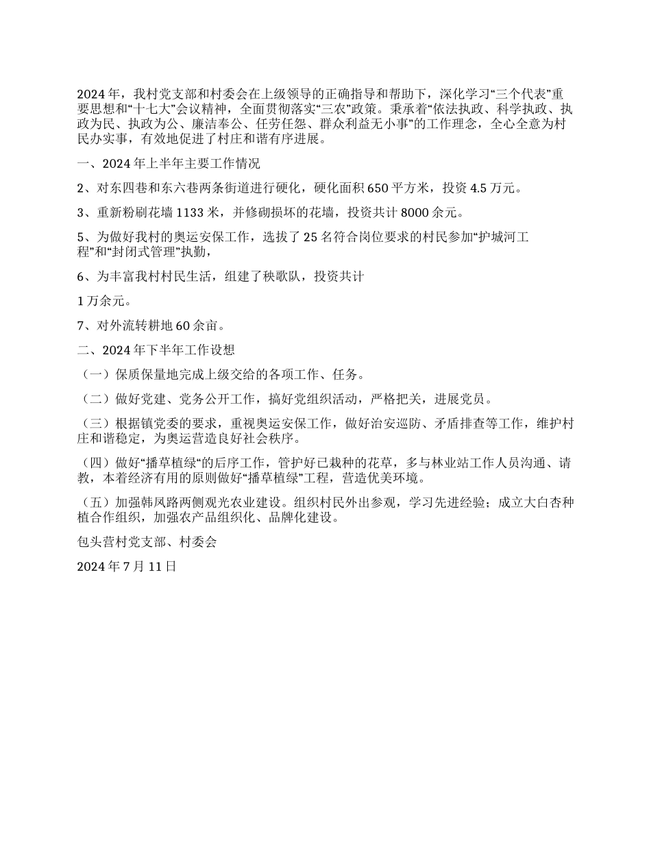 2024年上半年村党支部村委会工作总结_第1页