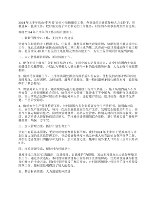 2024年上半年村委工作总结