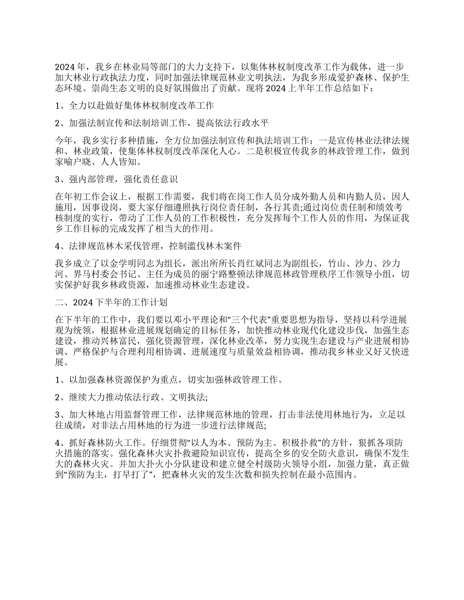 2024年上半年林政管理工作总结及下半年工作计划_第1页